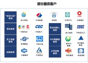 雙百行動咨詢服務產品手冊 賦能國企改革，驅動價值提升